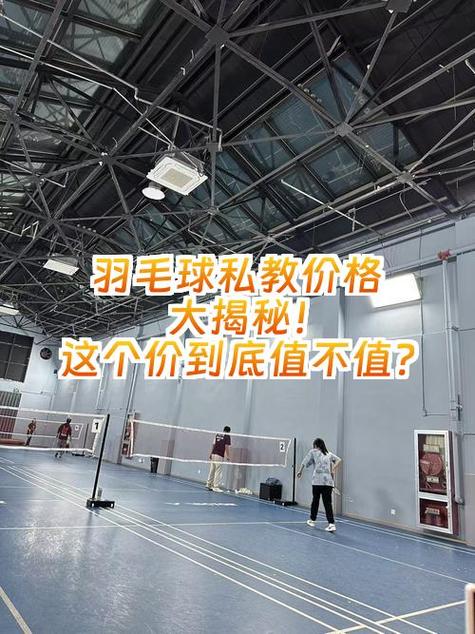 一个羽毛球大约需要多少钱