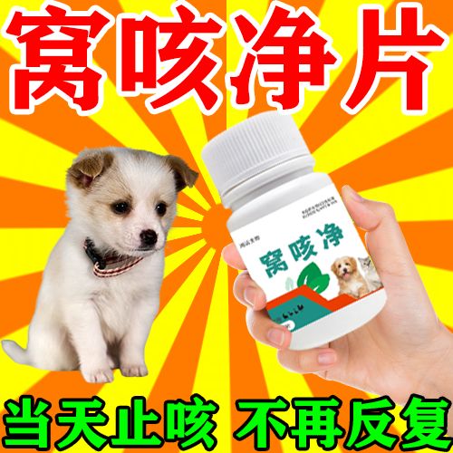 犬窝咳狗狗用什么药