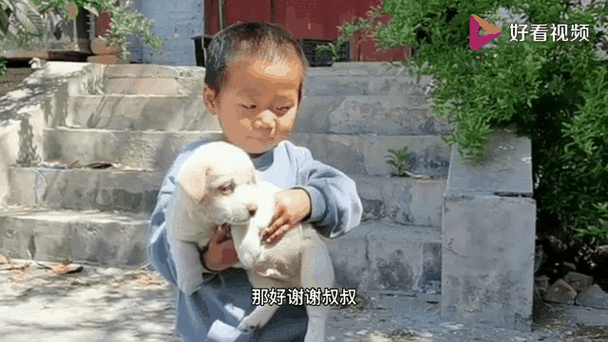 小孩看小狗视频
