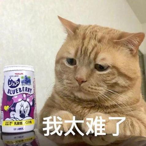 我太南了代表什么