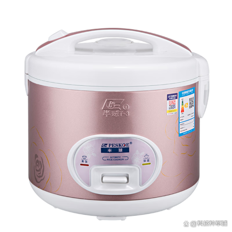 电饭煲700w够用吗