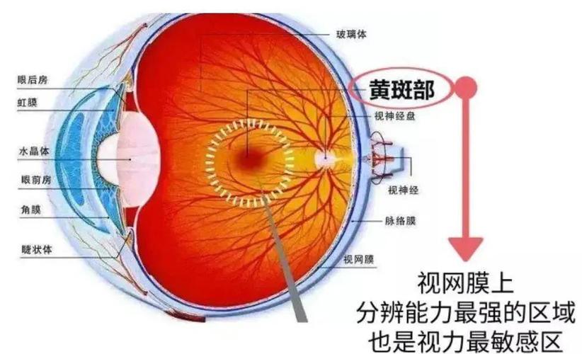 屏幕有黄斑是什么原因缩略图