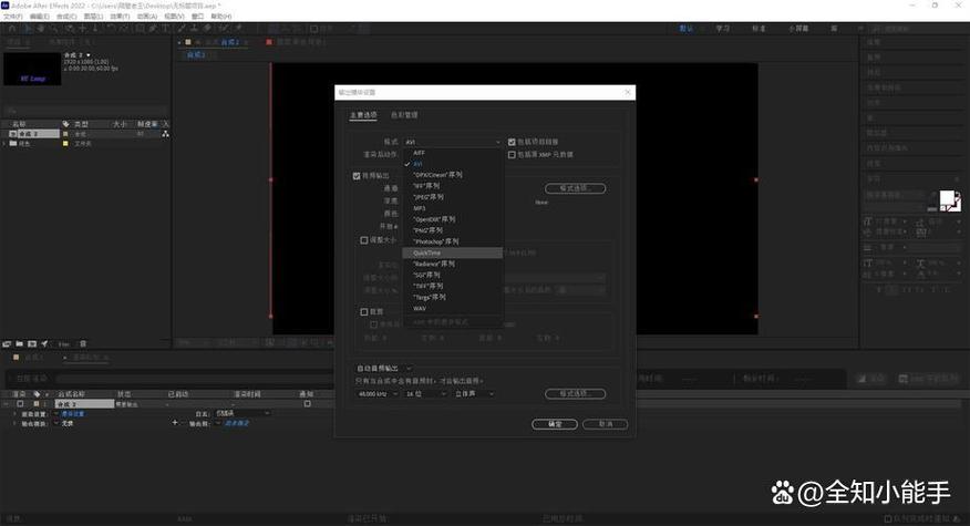 ae导出要adobe media