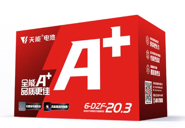 天能60伏电5个电瓶价格