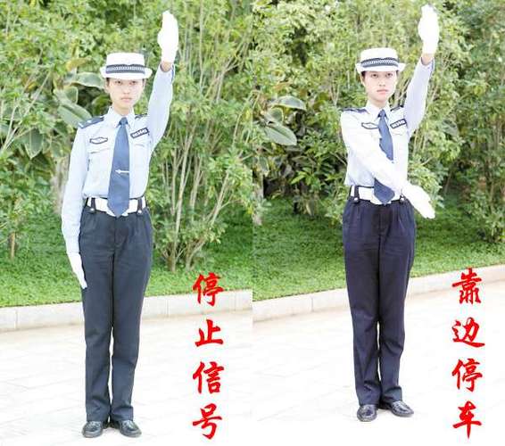 叫别人停车的手势