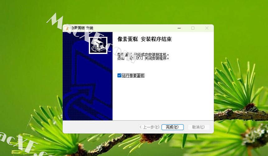pixcake破解