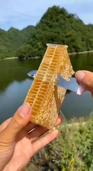 蜂巢蜜最后嚼出的蜡能吃吗