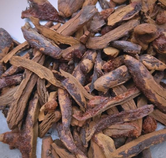 骨碎补相克的中药
