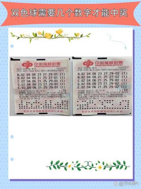 6个号码打什么彩票