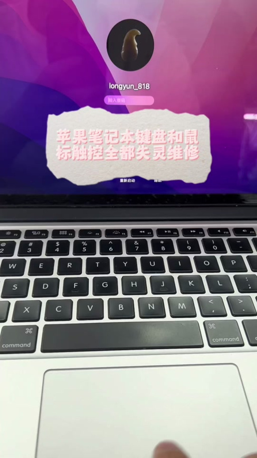 ipad妙控键盘触控板失灵