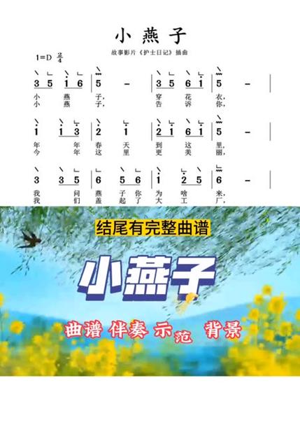 小燕子歌谱简谱