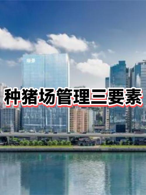 养猪场管理方法怎样做起