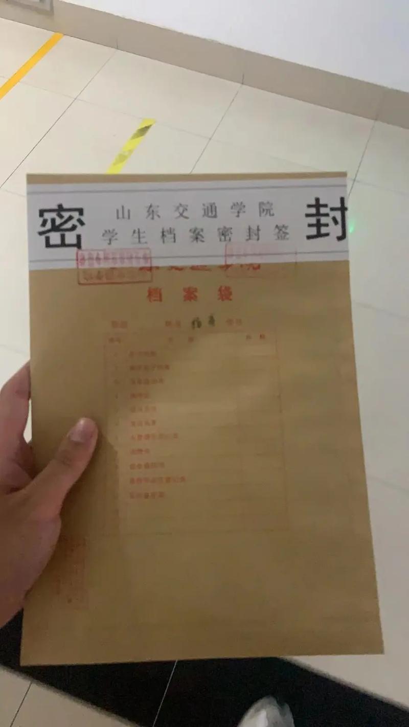 网红辛巴个人资料