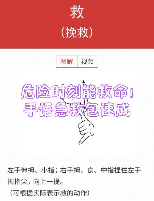 wps一打开全是乱码