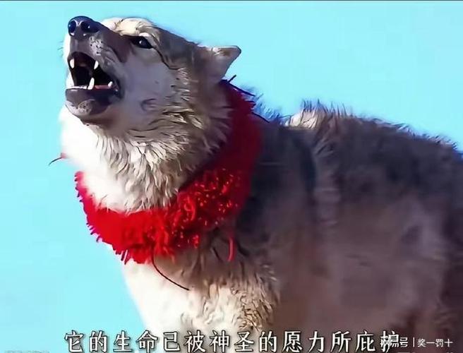 荒野大镖客2未开放地图