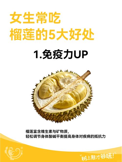 榴莲性味归经