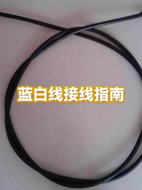 一根蓝线一根白线怎么接