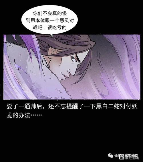 洛生传全集