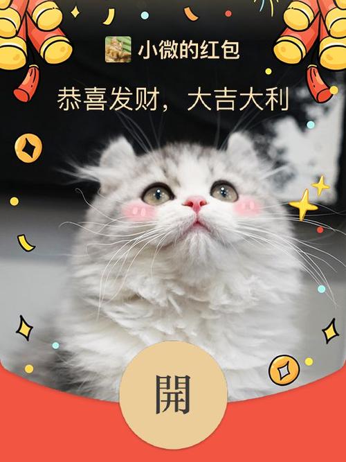 养宠物猫领红包下载