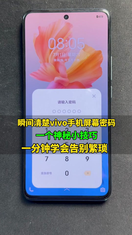 vivo演示机模式