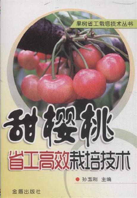 樱桃十分甜小说免费