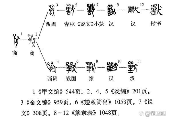 兽字的演变过程