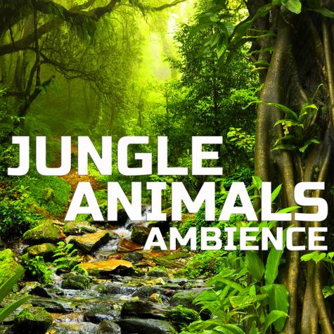 AnimaLSLife