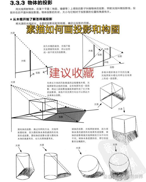 结构素描要画投影吗
