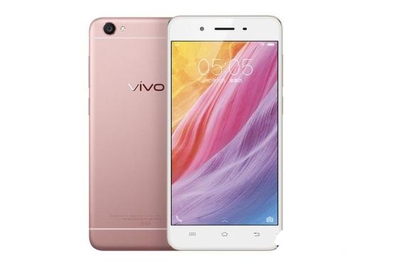 y66vivo