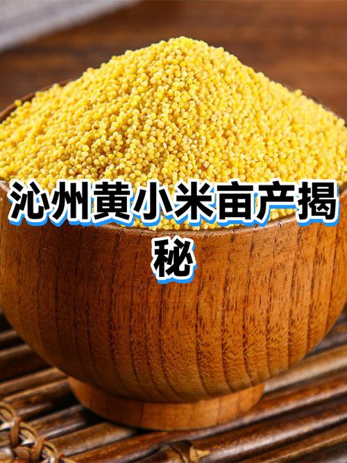 小米手机在哪生产