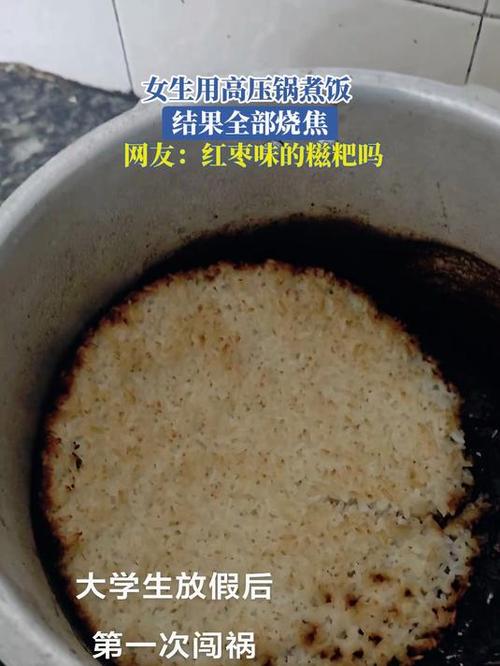 电饭锅煮饭焦糊的原因游戏截图