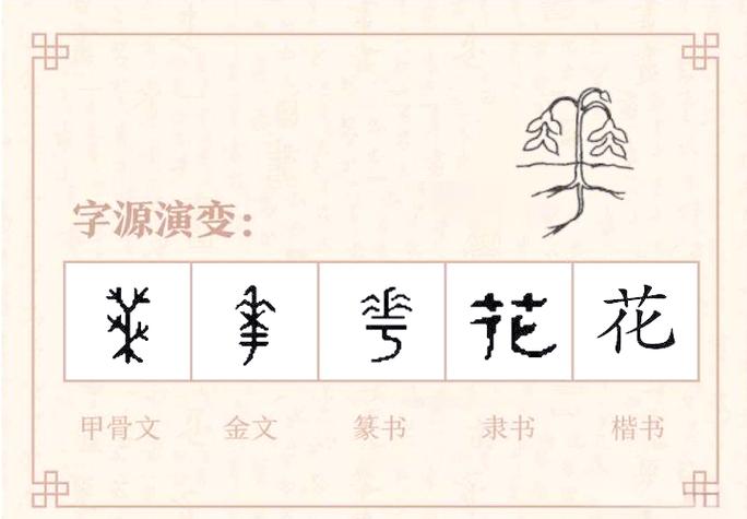 花字的篆体