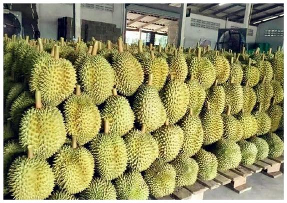 泰国买榴莲怎么带回国