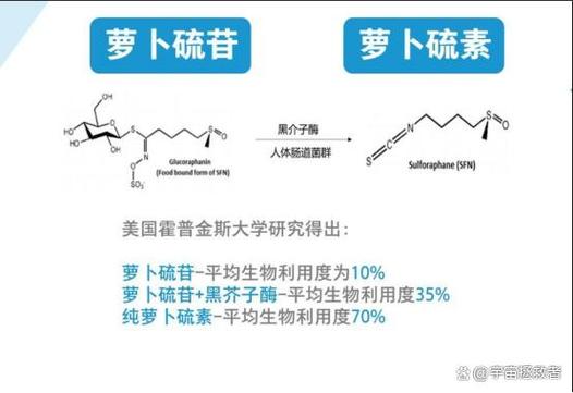 吃萝卜硫苷的害处