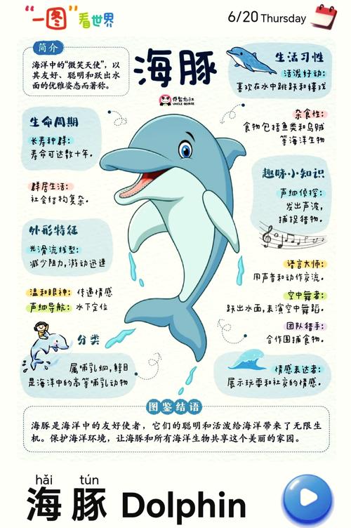海豚知道合法吗