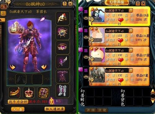 魔域怀旧版主宝宝选择