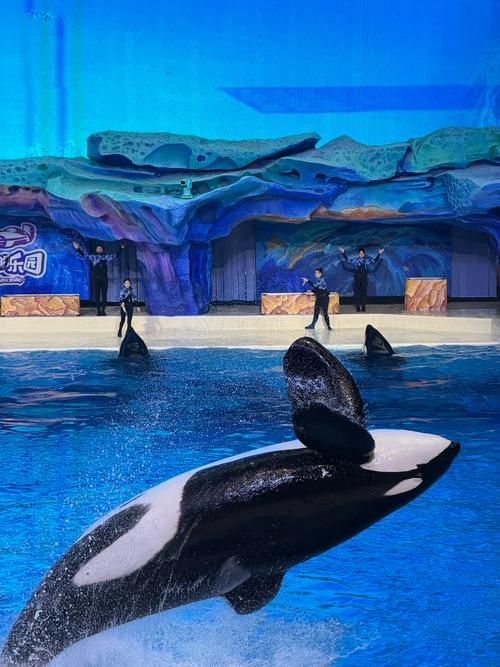 珠海海洋世界