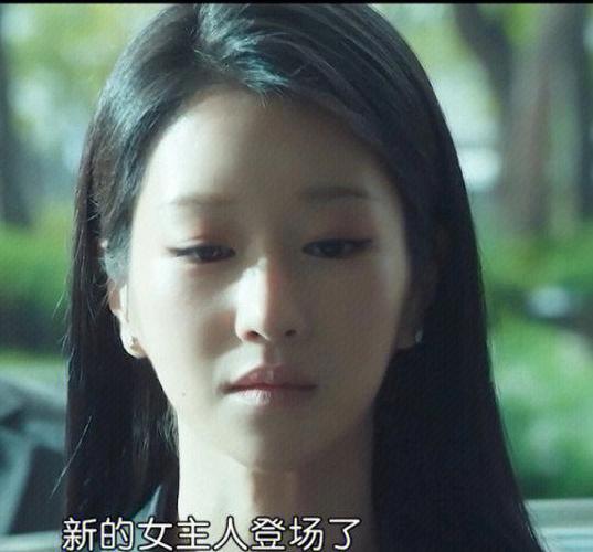 韩国电视剧整容女复仇