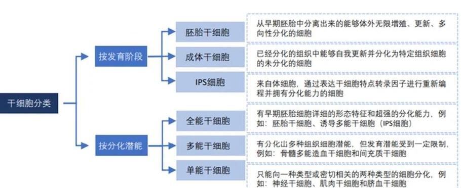 干细胞疗法可靠吗