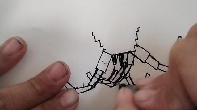 画凋零风暴最终体