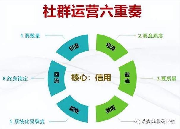 轻社群是干什么的