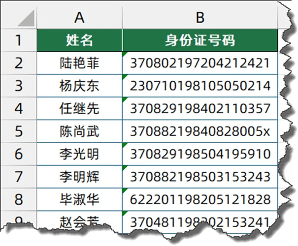 2025年大学生身份证号