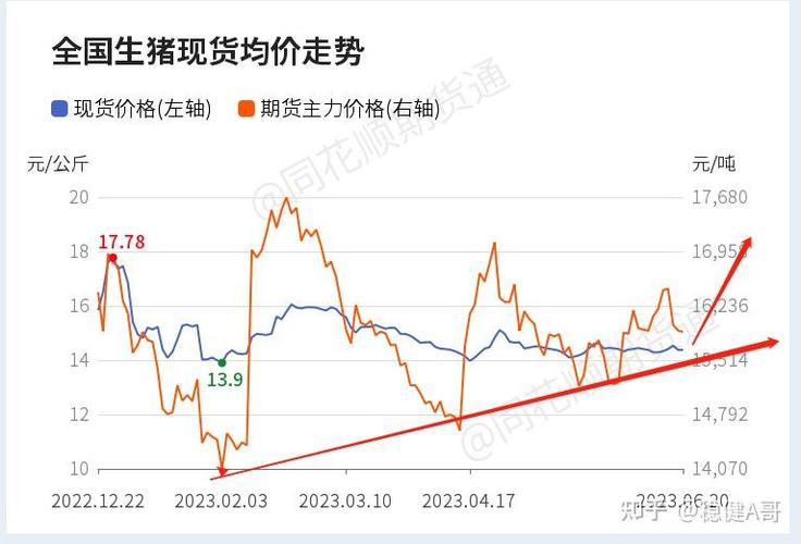 猪价期货走势图