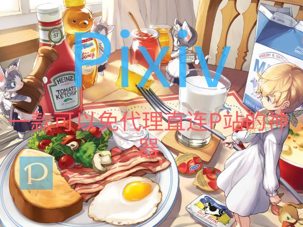pixez阅读器不能登录