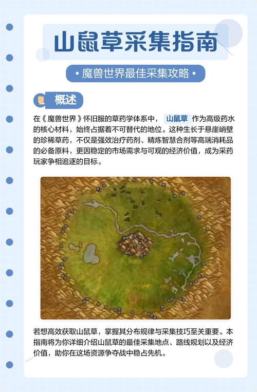 魔兽山鼠草哪里最多