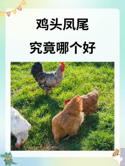 我当鸡头那些年小说缩略图