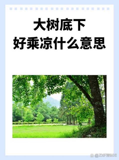 夏天如何更凉快