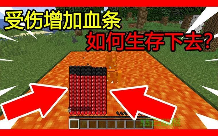 mc加血上限指令缩略图