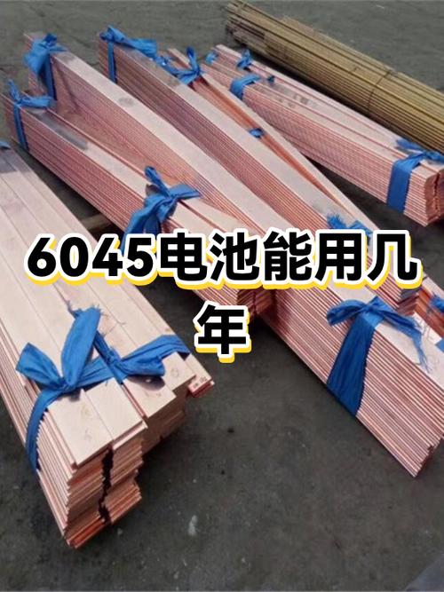手机电池放了一年还能用吗