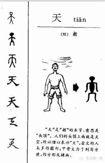 天的甲骨文